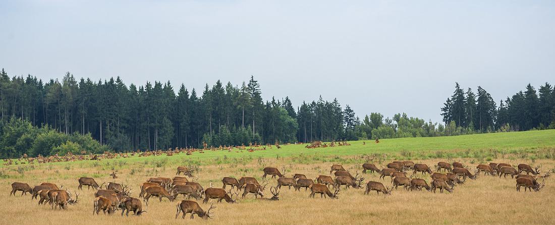 Südböhmen