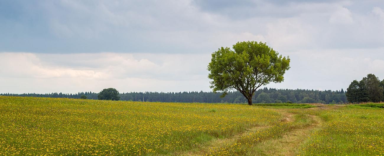 Na kole krajinou jihočeského baroka