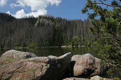 Plešné jezero