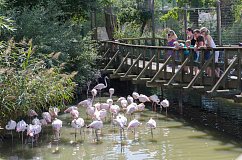 ZOO Hluboká nad Vltavou