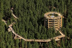 Treetop Walkway