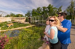 ZOO Hluboká nad Vltavou