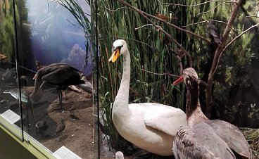 Muzeum Špejchar Ražice