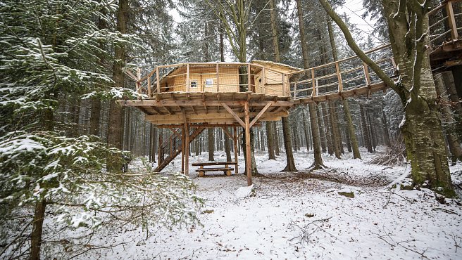 TREEHOUSES