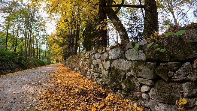 Nové Hrady - Strecke durch den Gratzener Schlosspark