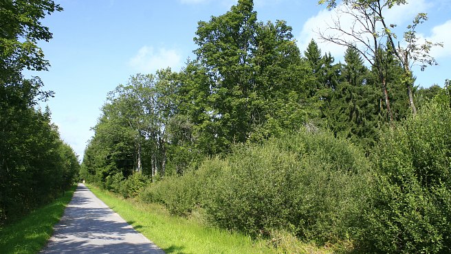 Lipno-Stausee - Von Nová Pec nach Ovesná und zurück