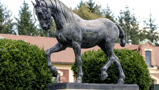 Stud Farm in Písek