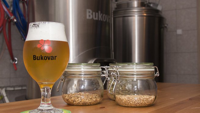 1. Familienbrauerei Bukovar