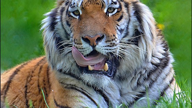 Zoo Tábor