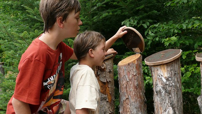 Semenec Museum für Naturgeschichte