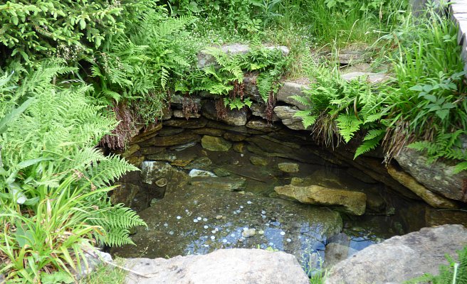 Šumava - To the Source of the Vltava River