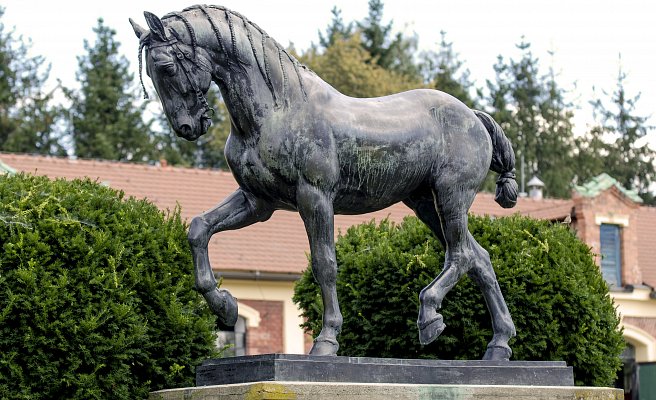 Ziemska Stadnina Koni Písek