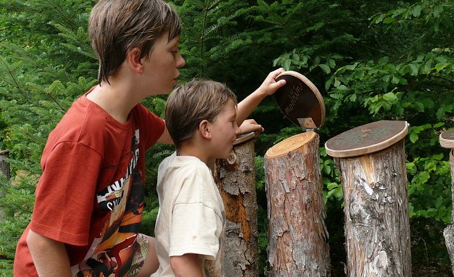 Semenec Museum für Naturgeschichte