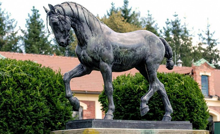 Výlet za unikátní architekturou i chovem koní