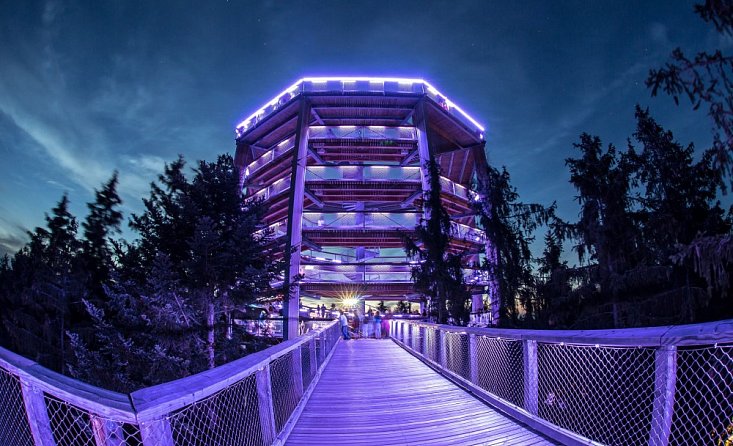 Lipno Treetop Walkway