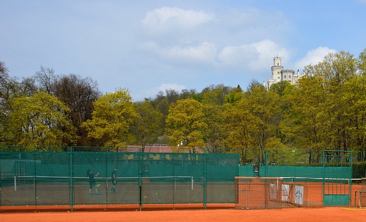 Tenis
