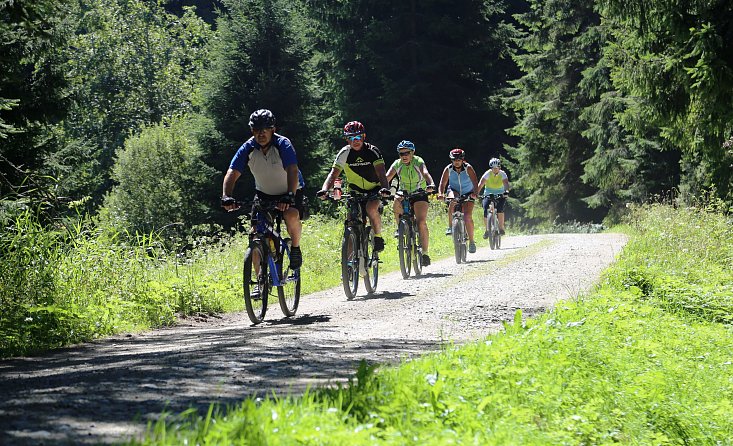 Schwarzenberský plavební kanál