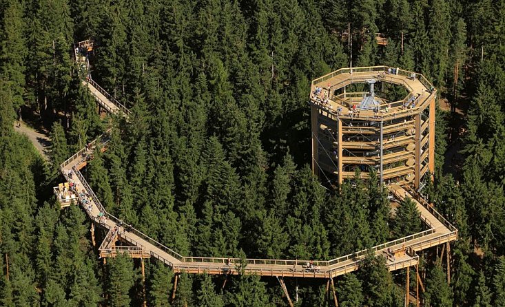 Lipno Treetop Walkway