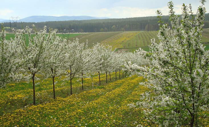 Komponovaná barokní krajina LIbějovicko-Lomecko