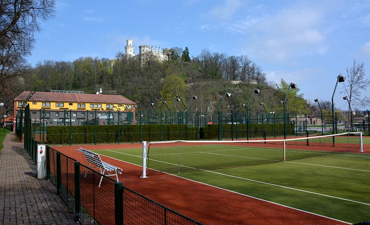 Tenis