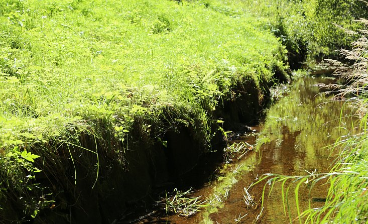 Canal de navegación de Schwarzenberg