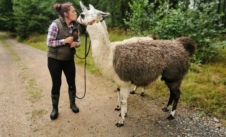 S lamou na procházku
