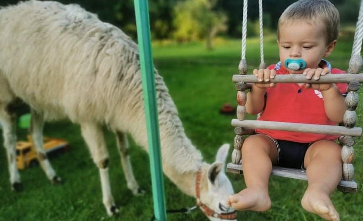 S lamou na procházku