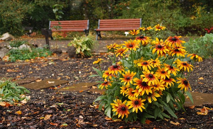 Botanická zahrada při VOŠ a SZEŠ, Tábor