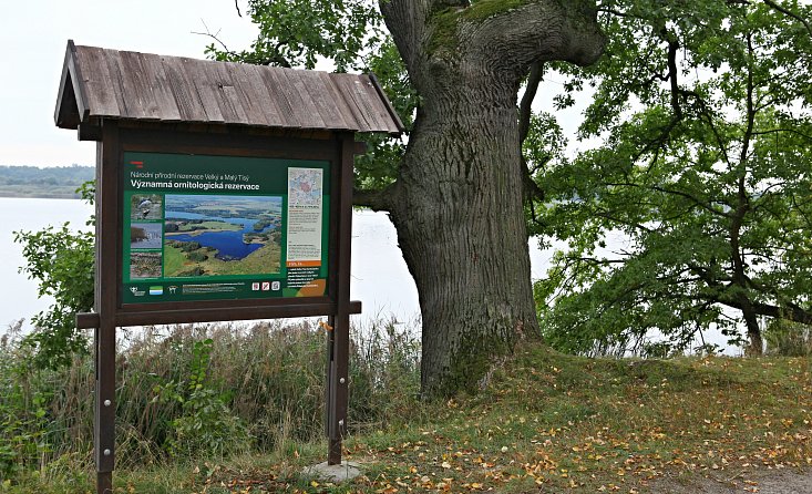 Velký Tisý