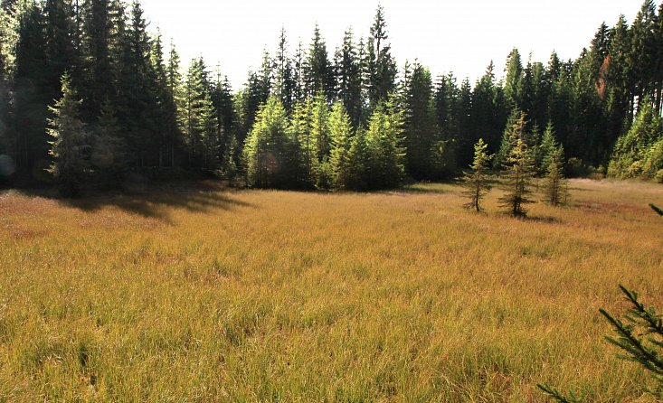 Der Schwarzenberger Schwemmkanal