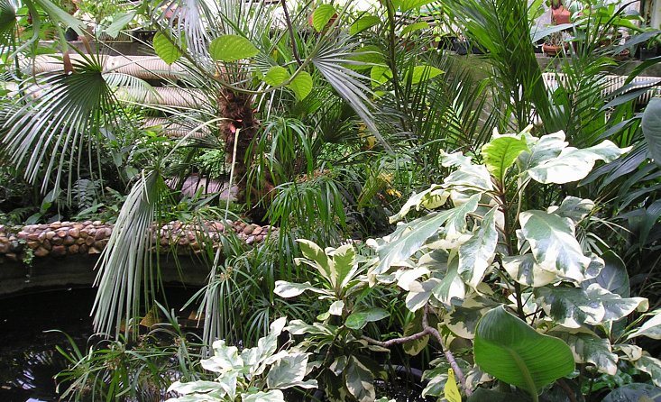 Botanischer Garten der Höheren Fachschule und Landwirtschaft