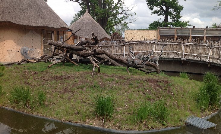 ZOO de Hluboká