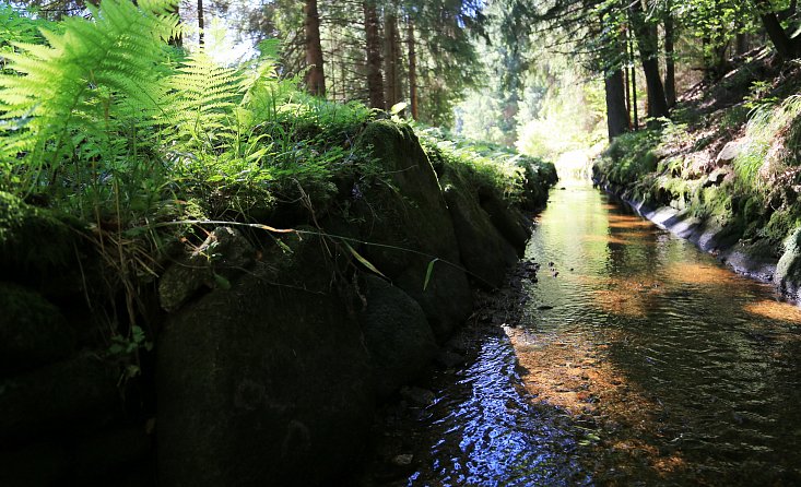 Schwarzenberg canal