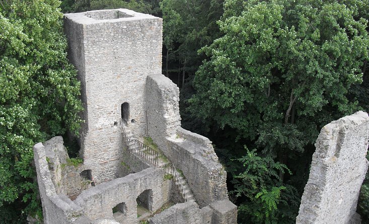 Ruine der Burg Choustník