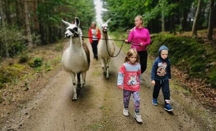 S lamou na procházku