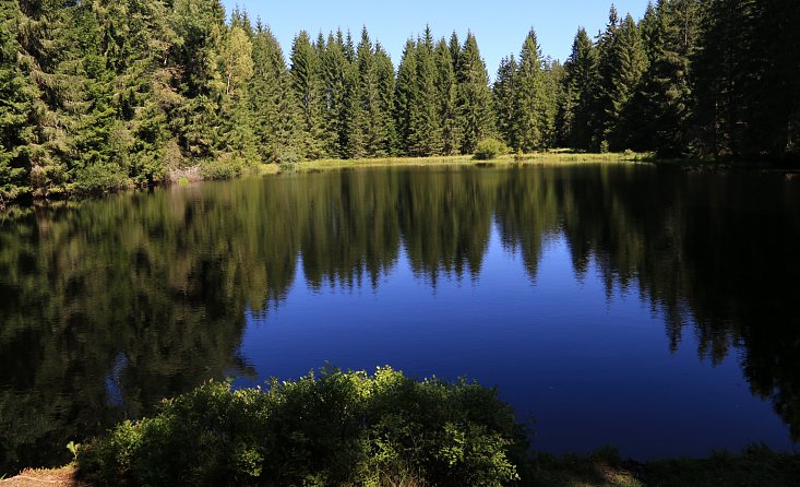 Schwarzenberský plavební kanál