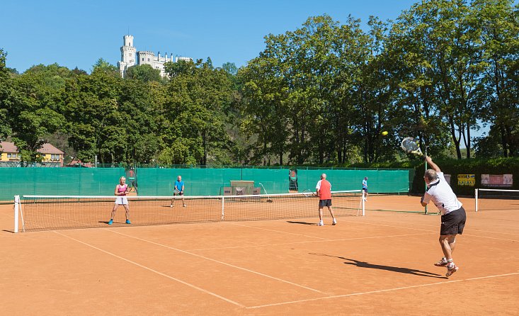 Tenis