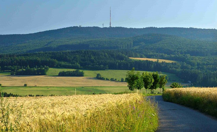 Zone naturelle protégée - forêt Blanský les