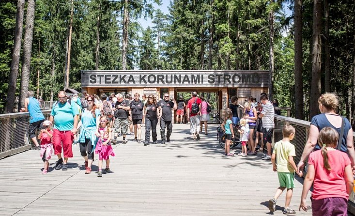 Stezka korunami stromů Lipno