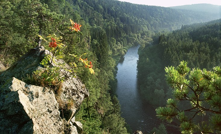 Zone naturelle protégée - forêt Blanský les