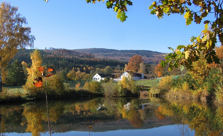 Zone naturelle protégée - forêt Blanský les