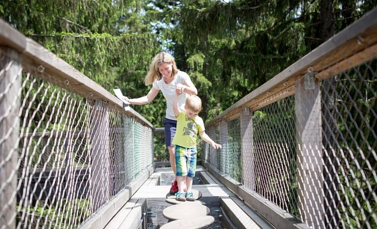 Lipno Treetop Walkway