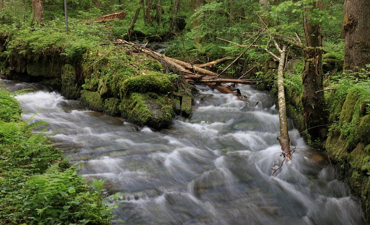 Der Schwarzenberger Schwemmkanal