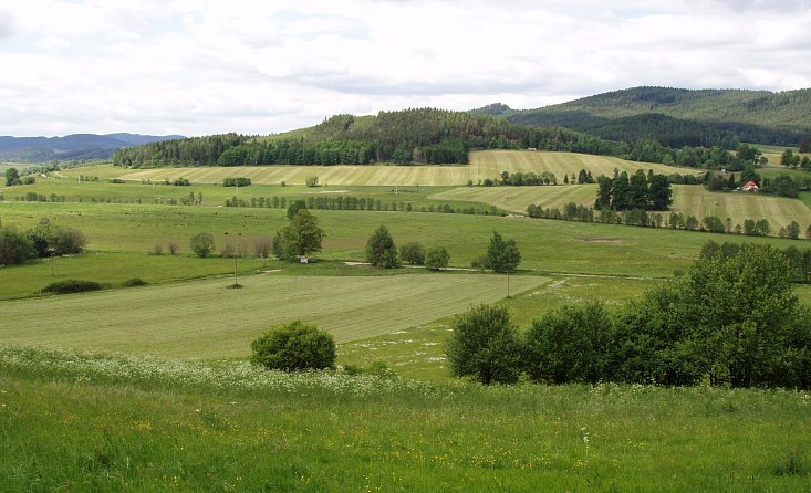 Zone naturelle protégée - forêt Blanský les