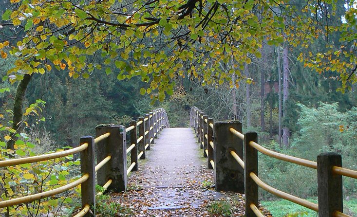 First Toulava Trail - the most beautiful Lužnice valley