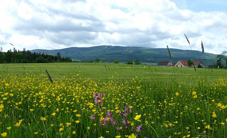 Zone naturelle protégée - forêt Blanský les