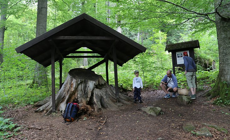 A Stožeci kápolna körül fel a Stožec-sziklára