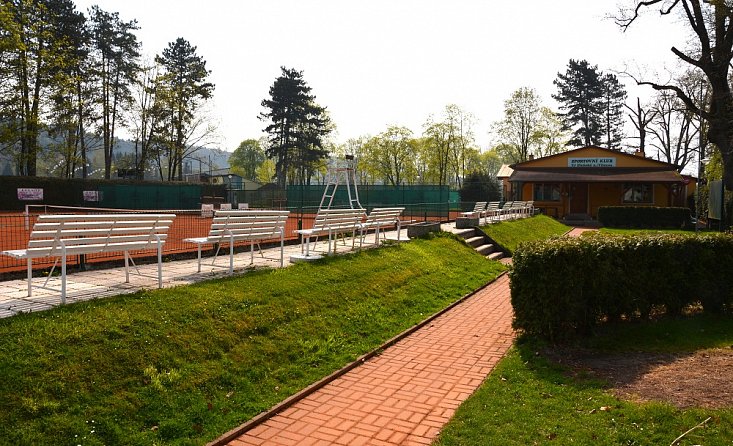 Tenis