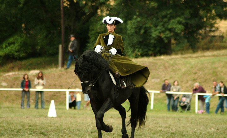 Zemský hřebčinec Písek, s.p.o.