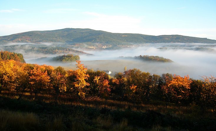 Zone naturelle protégée - forêt Blanský les